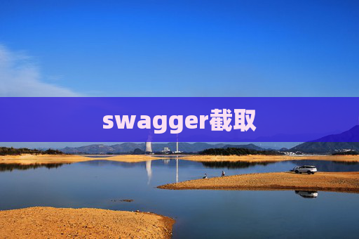 swagger截取